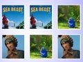Igra Memorijska kartica Sea Beast online