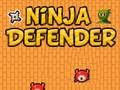 Igra Branitelj ninja online