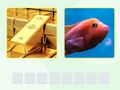 Igra Picword online