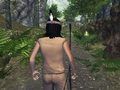 Igra Ranjeno ljeto  online