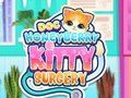 Igra Doc HoneyBerry Kitty kirurgija  online