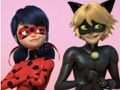 Igra Miraculous Ladybug & Cat Noir slagalica  online
