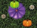 Igra Boja Pumpkin Match  online