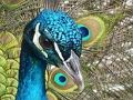 Igra Komplet puzzle  online