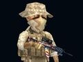 Igra Rush ekipa online