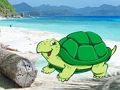 Igra Par rakova na plaži bijeg online