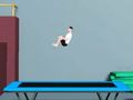 Igra Trampolin Flip  online