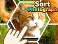 Igra Poredaj fotografiju  online