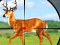 Igra Divlji lov Igre lova 3D  online