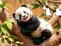 Igra Slagalica: Panda na drvetu  online