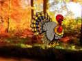 Igra Dan zahvalnosti Dancing Turkey Escape  online