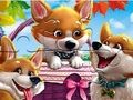 Igra Slagalica: Smiješni Corgis  online