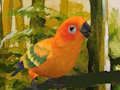 Igra Slatka puzzle budgie  online