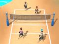 Igra Odbojka na pijesku 3D  online