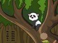 Igra Panda bijeg iz džungle  online