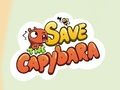 Igra Spasite Capybaru  online