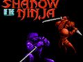 Igra Sjena Ninje  online