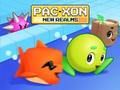 Igra PAC XON NOVE KRAJSKE online
