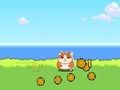 Igra Hamster Kombat kliker online Igra Hamster Kombat kliker online