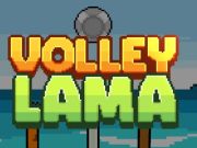 Igra Odbojka lama online