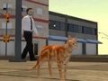 Igra Simulator mačjeg grada  online