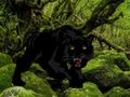 Igra Pobjeći iz šume Black Panther  online