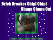 Igra Chipi Chipi Chipi Chipi Chapa Chapa Cat online Igra Chipi Chipi Chipi Chipi Chapa Chapa Cat online