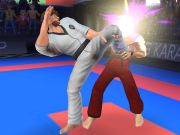 Igra Karate borac  online