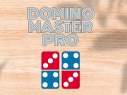 Igra Domino Master Pro online