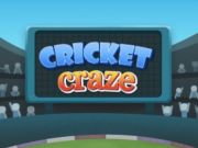 Igra Ludost za kriket  online