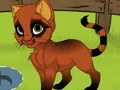 Igra My Kitten online