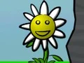 Igra Flower Power online