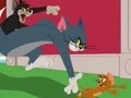 Igra Tom and Jerry: Chasing Jerry online