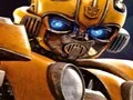 Igra Bumblebee Hidden Spots online