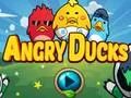 Igra Angry Ducks online