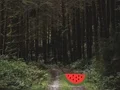 Igra Dense Forest Deer Escape online