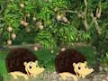 Igra Escape From Mango Farm online