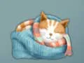 Igra Adorable Escape Find Cute Kitten online