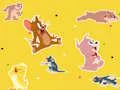 Igra The Tom and Jerry Show Find it! online