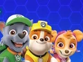 Igra Paw Patrol online