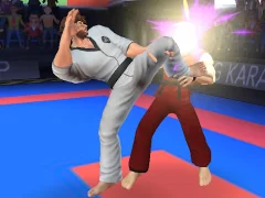 Igra Karate Fighter online