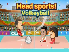 Igra Head sports! Volleyball online