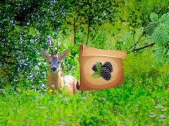 Igra Return To Alsunga Forest online