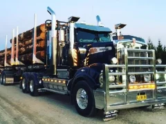 Igra American City Truck Transporting online