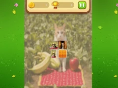Igra Farm Cat Memory Match online