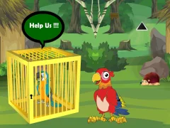 Igra Release Trapped Macaw Buddy online