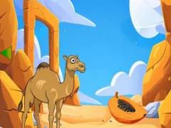 Igra Camel Looking For Her Young online