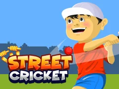 Igra Street Cricket online
