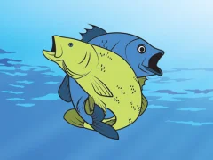 Igra Friendly Fish Coloring online