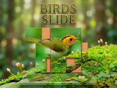 Igra Birds Slide online